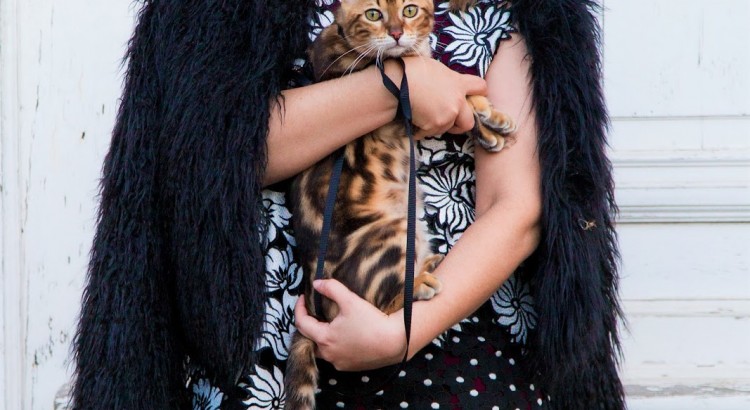 Amely Rose and the Bengalkitten.