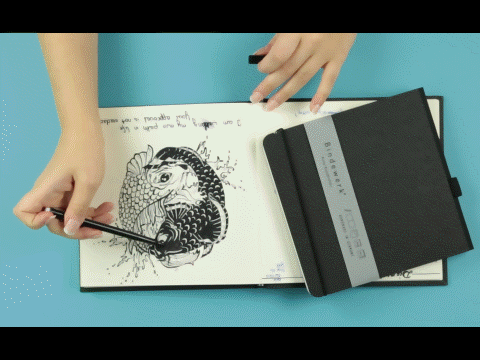 Amely Rose zeigt eine Anleitung oder how to bullet journal und doodle in ihrem bindewerk notizbuch