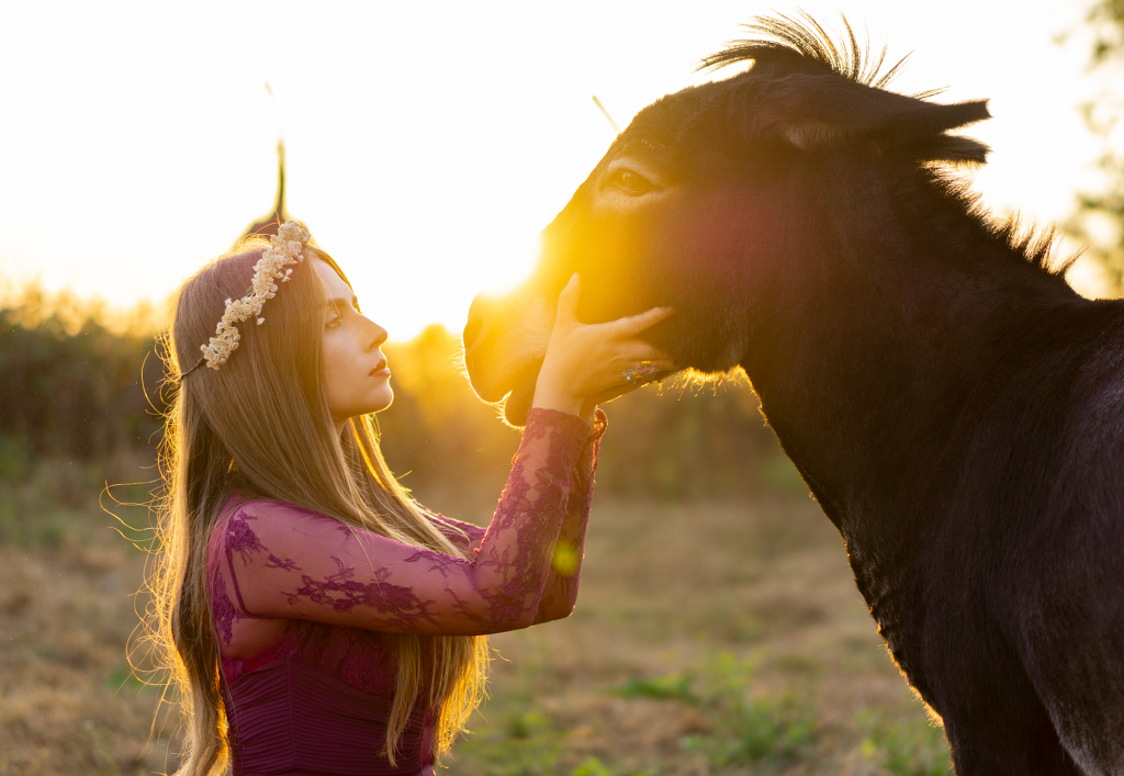 amely rose tierfotografie amely_rose animalphotography maxikleid ballkleid abendkleid abikleid esel outdoorphotography