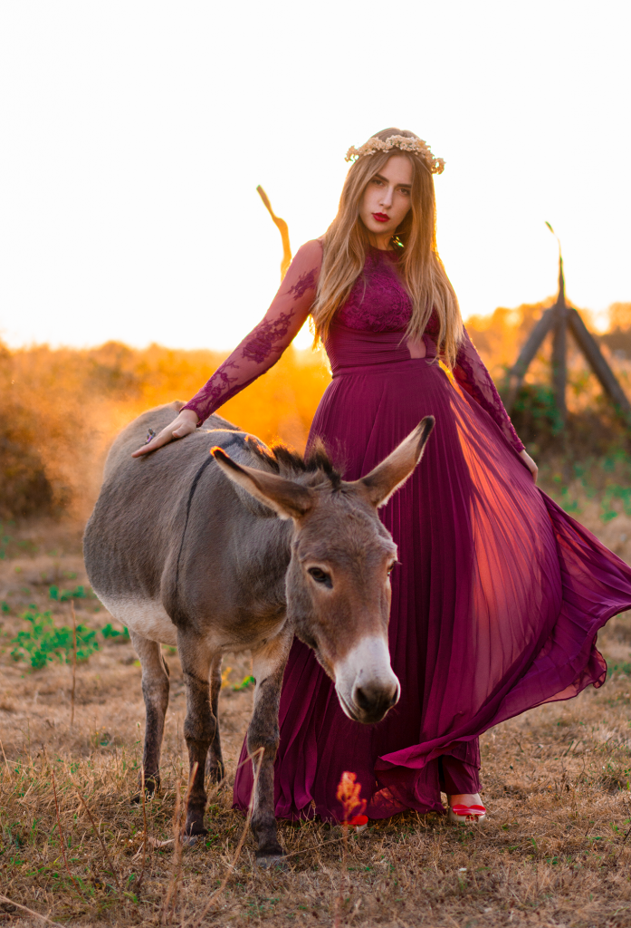 amely rose tierfotografie amely_rose animalphotography maxikleid ballkleid abendkleid abikleid esel outdoorphotography