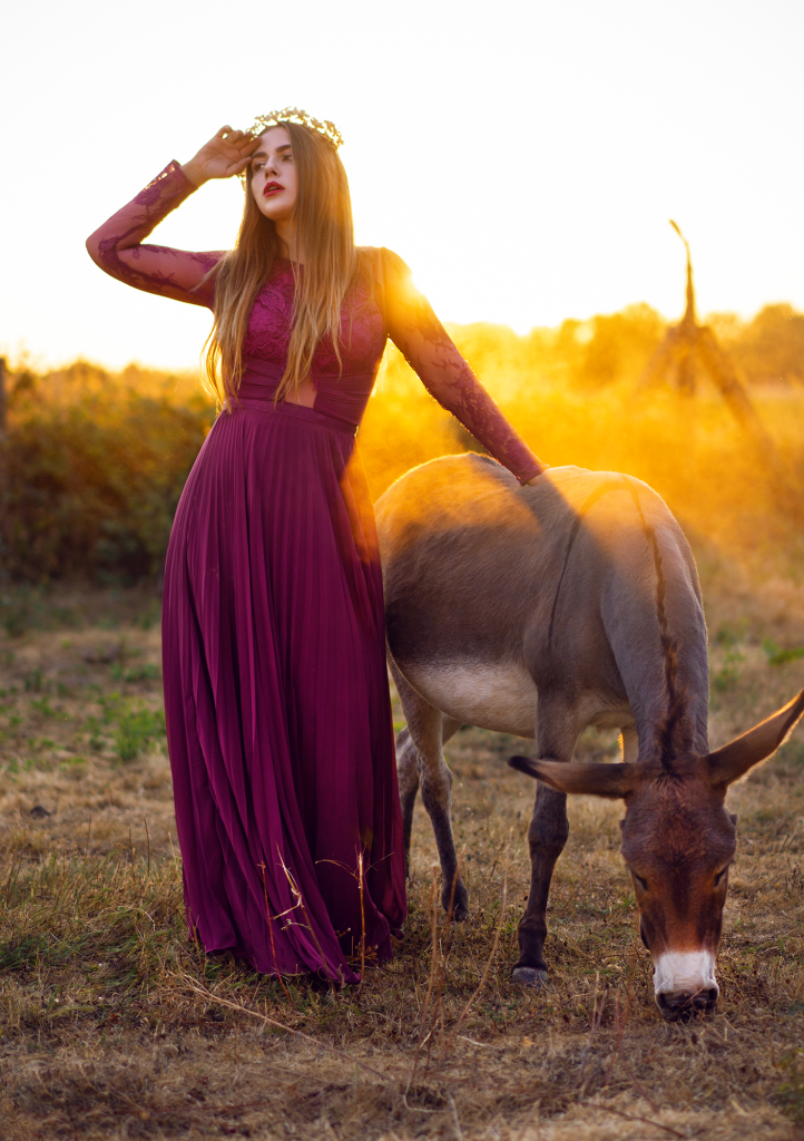 amely rose tierfotografie amely_rose animalphotography maxikleid ballkleid abendkleid abikleid esel outdoorphotography