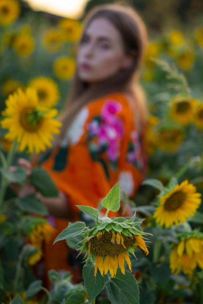 amely, rose, amelyrose, fashionblogger, köln, sonnenblume, sunflower,