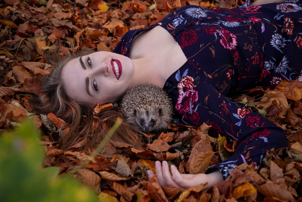 autumn, autumnlook, autumnfashion, autumnportrait, portrait, pet, petportrait, pet portrait, igel, hedgehog, sonic, autumndress, amelyrose, amely rose, amely_rose, herbst, herbstmode, autumnfashion, autumn fashion, 