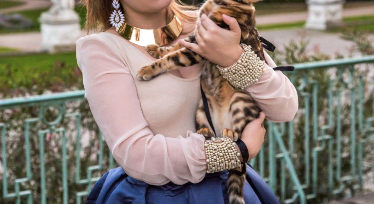 amely rose wearinf a satin midi skirt and the bengalkitten cat walk